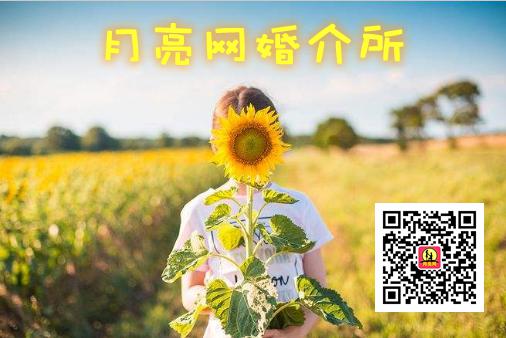 插图向日葵.jpg