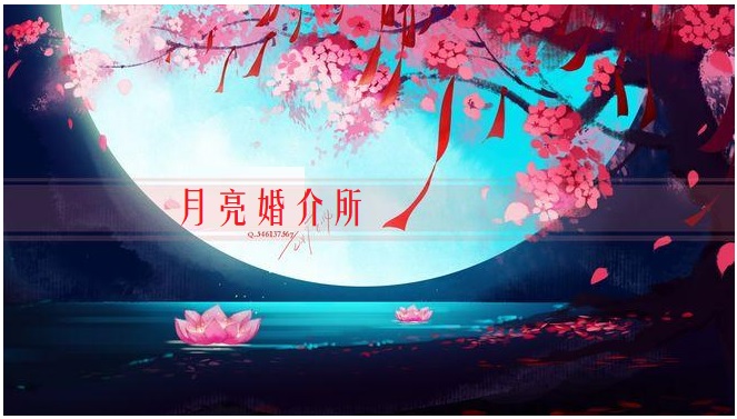 月亮婚介所.jpg